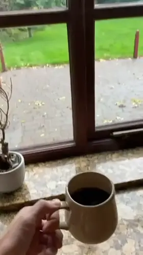 How every morning should start 😇