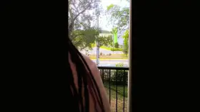 Would you breed me outside? (OC)