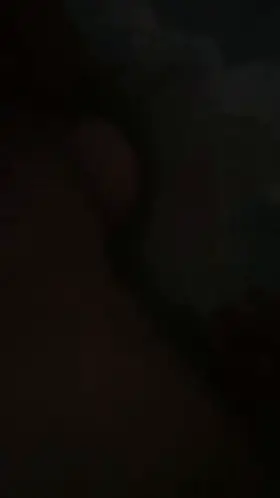 Ass Clapping Back Arched Big Ass Porn GIF by swingingbull