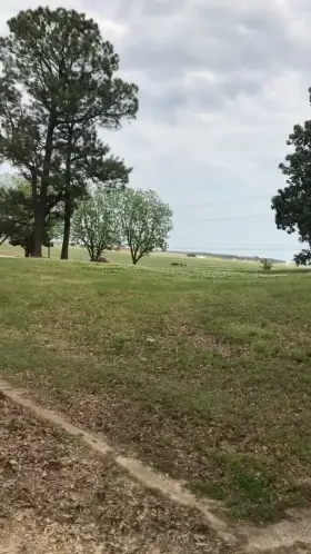 When the wind blows to cool down that hot sex! 🌬🍑 (m)(f)