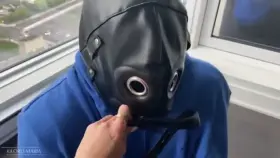 My house pets go through rigorous training.