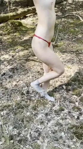 Felt like taking a walk in the woods today :)