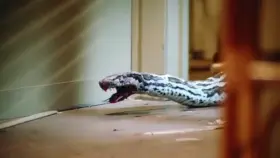 Dona Speir from a Skinamax classic...