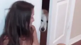 Looking for my mistress