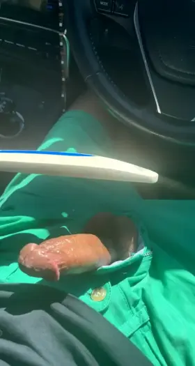 Just some Ballbusting by the Beach