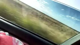 do you enjoy road trips as much as i do?