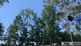 AbbieMaley Risky Public Restroom Threesome With Riley Reid