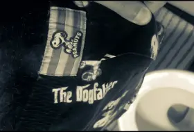 Say hello to my little Woodstock