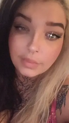 Who wants to take a trip down south?