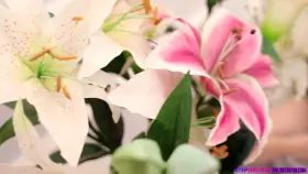 Anie Darling - Kiss And Make Up With Your Step Sister