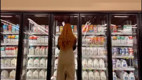 I forgot which type of milk you said you wanted. I hope these will do.