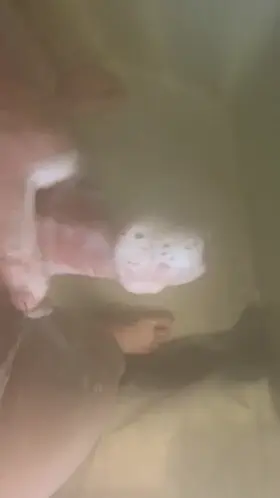 Someone want to help me clean up?