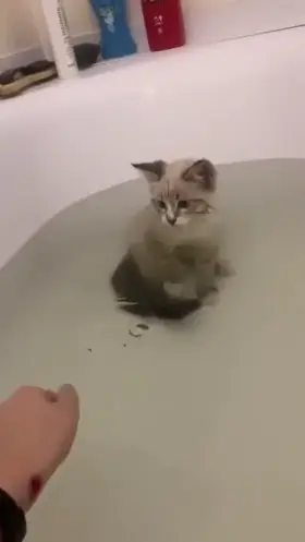 Playing In The Water