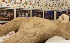 Jumping into the New Year like