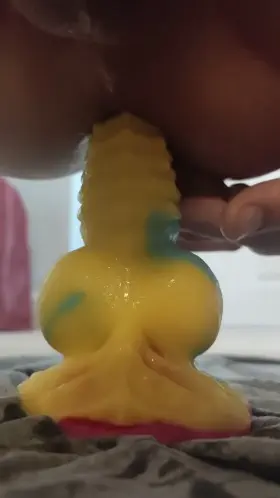 When the wife isn't home, I sit on her dildos