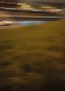 I thought the coast was clear... Oops! (f)