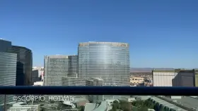 Beautiful view🤩😈🔥🔥🍑🦂BWC Doggystyle Hotwife Porn GIF by scorpio_hotwife