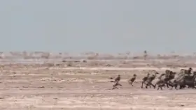 I hate nature sometimes