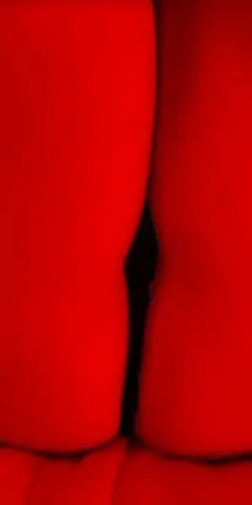 You a get a peak at the end!!!