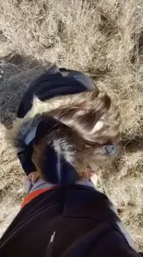 [FM] [OC] We will be posting more on this sub!