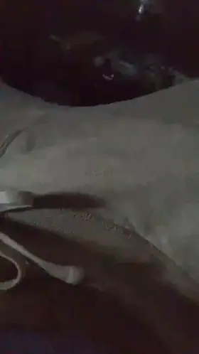 first post, still too shy to whip it out 😅 dms open to women tho 👀