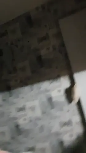 Cock GIF by ljhorny53