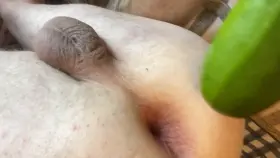 The big zucchini opens my ass up for all kinds of dick. Even the small limp ones can slide in! Anyone interested? DMs are open!