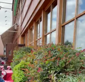 Can I have a small discount at the restaurant if I show my tits?