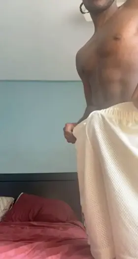 For the wife in nyc new bull looking for tourist in the summer