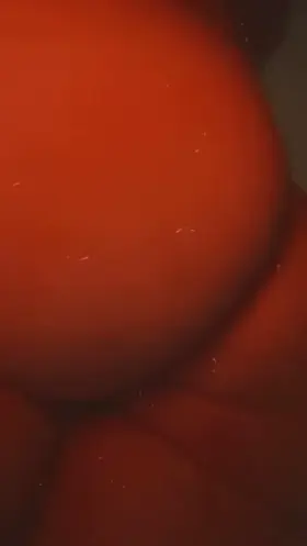 Big titty PAWG body tour 😉