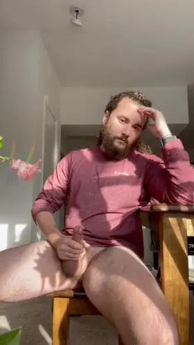 Golden hour fun in the window