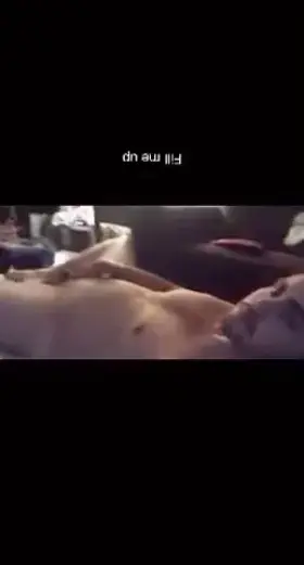 Curious guy here (NSFW)