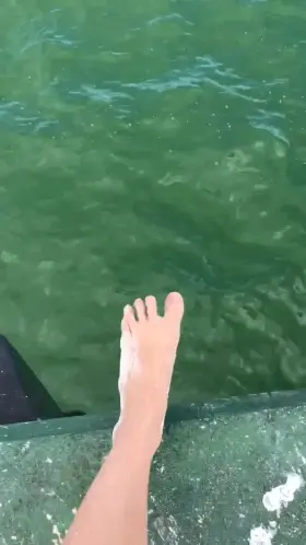 My feet in the sea and in your face soon