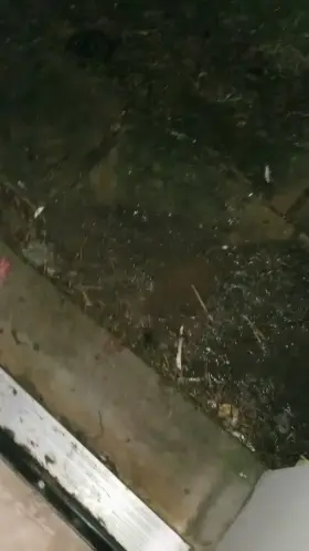 Wish someone was being pissed on