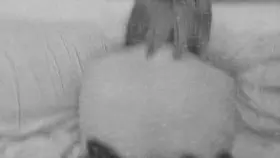 🥺fuck me like a slut🥺