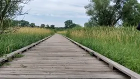 The slut that hides under the bridge [F]