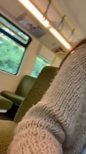 Took my tits and pussy out on the bus today