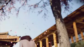 D.va (Ent_Duke) [Overwatch