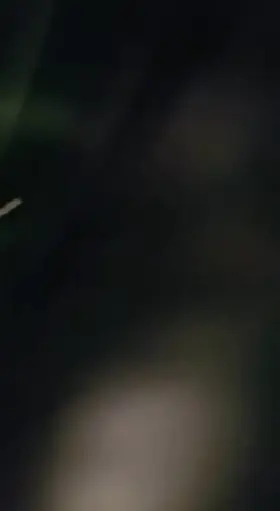 When they go out, they know how to finish the night