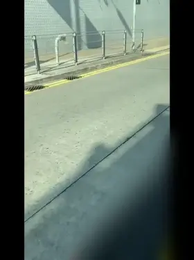 Couldn’t help myself... what would you do if I was your taxi fare? [GIF]