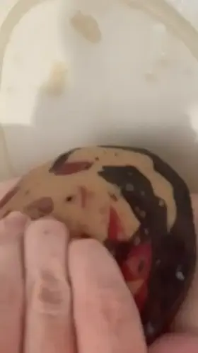 [M] I love taking a big creampie from Nova [M/M] when he knots me