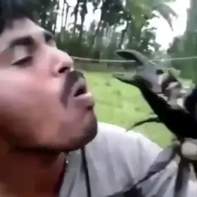 This idiot had it coming