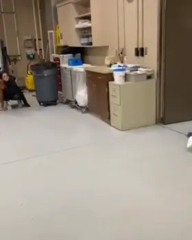 This is called true love