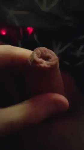 I'm so horny, anyone wanna help?