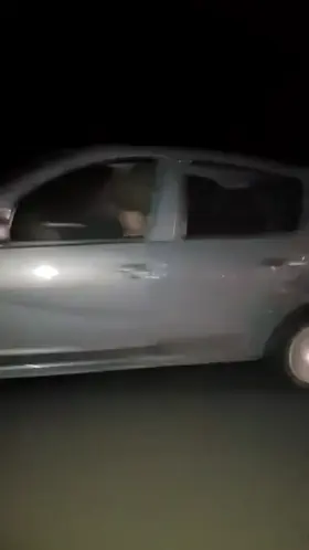 Fucking While Driving