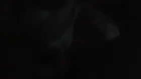 (UK) Less than a week since housemate's girlfriend moved in with us for the lockdown. She likes making it wet while he listens from outside the room.