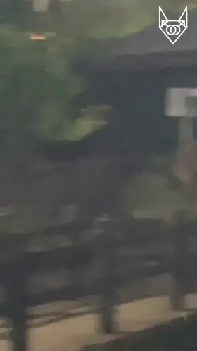 Blowjob at a secluded part