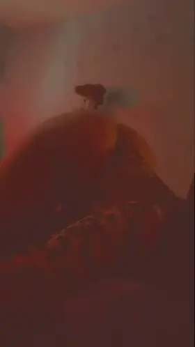 Would u like this on your cock?