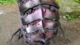 Nightmares