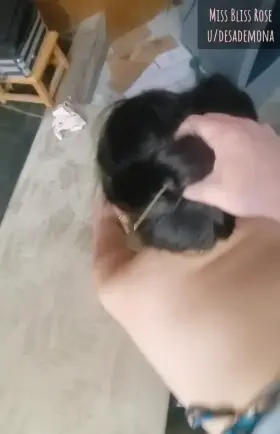 Please grab my hair to control me!